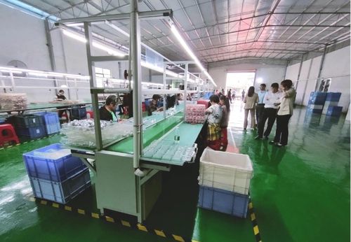 砥礪奮進啟新程，鄉村振興謀新篇——浛洸鎮張陂村玩具加工廠隆重開業
